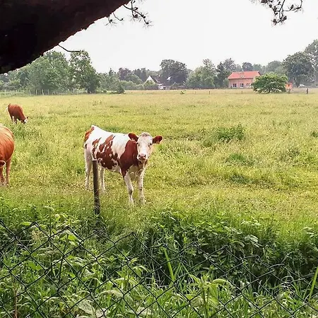 Carl 7 - Ruhig, Bezaubernd, Eigen